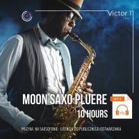 Moon Saxo Pluere pakiet 10 godz mp3 PENDRIVE